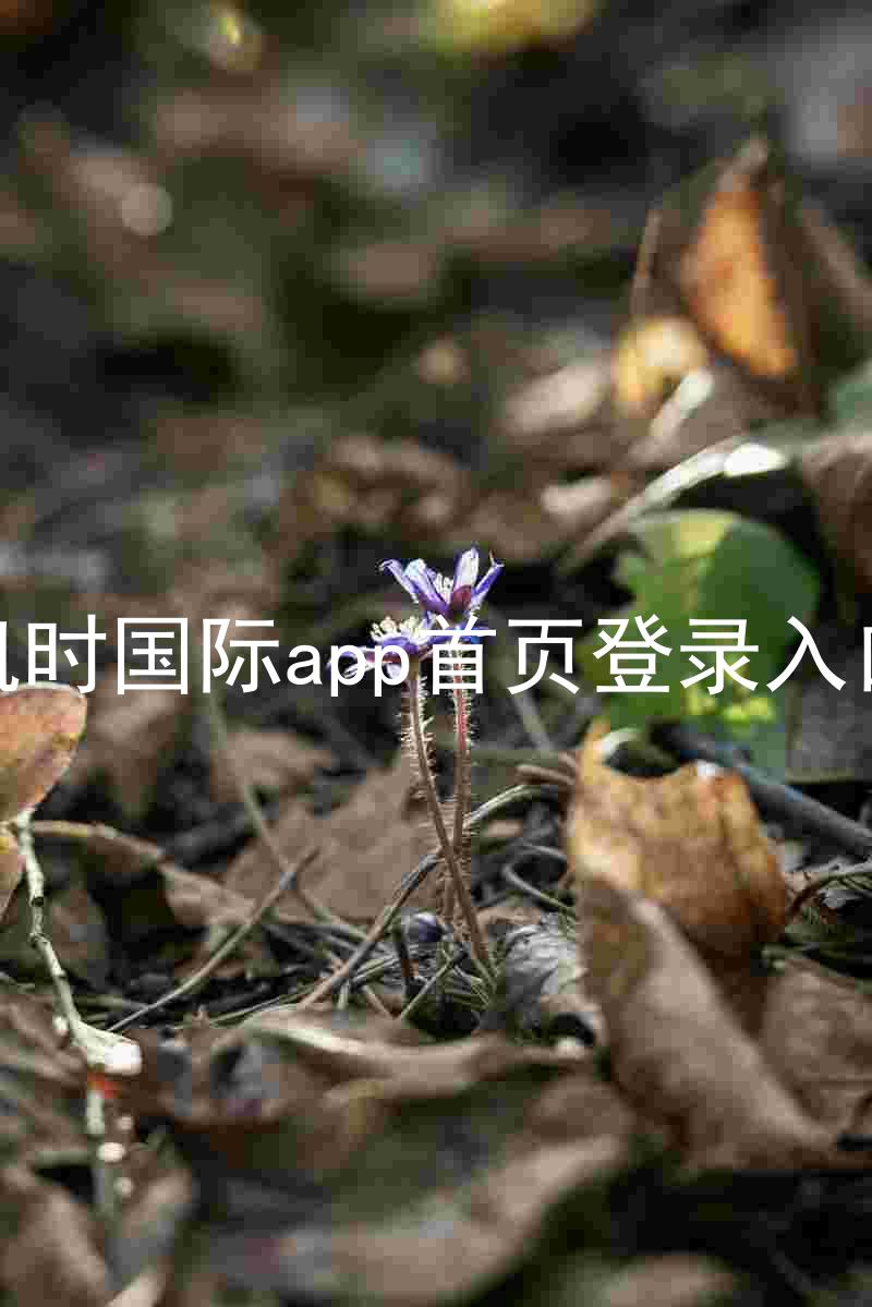 凯时国际app首页登录入口
