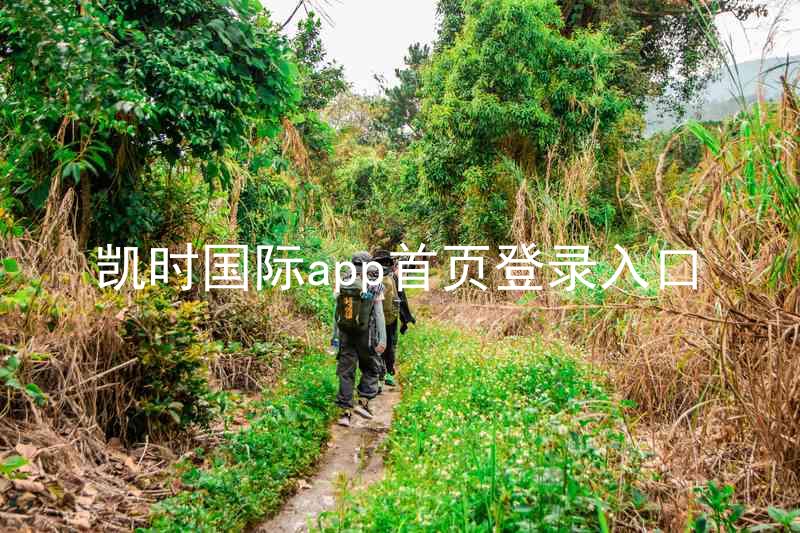 凯时国际app首页登录入口